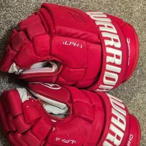 Ben Chiarot Signed Gloves